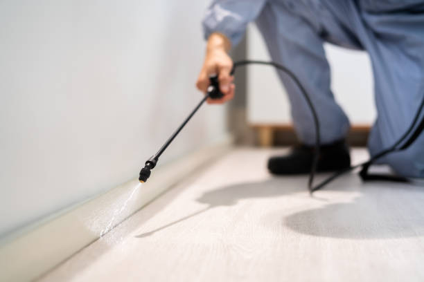 Licensed Exterminator service in Oakdale, LA - Show Me Pest Control