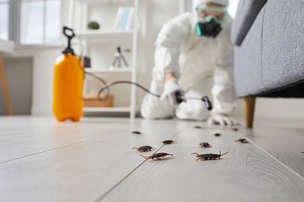 Commercial Rodent Management in Oakdale